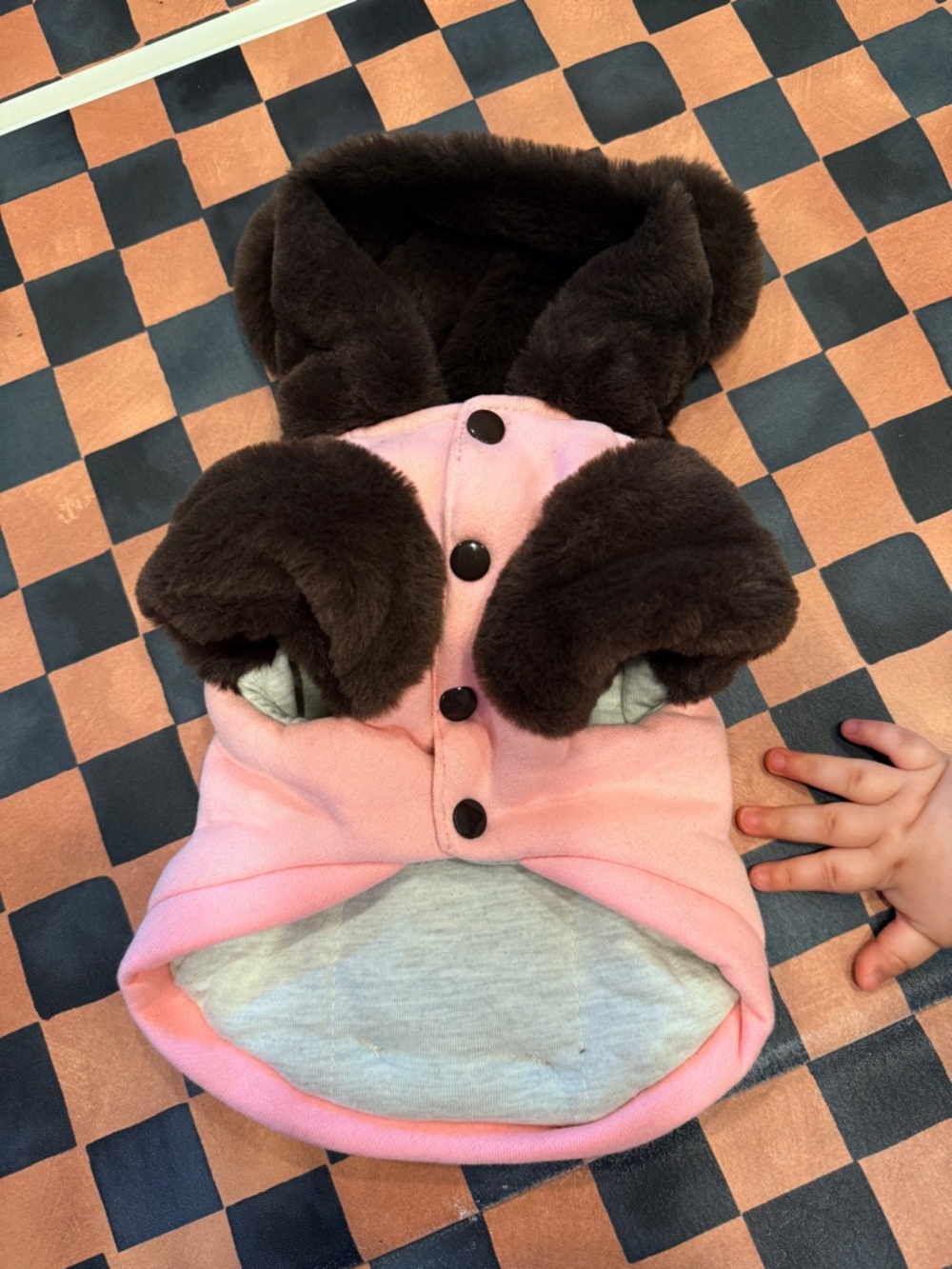 $50 for 5 pet clothes, 3 coats, 1 raincoat and 
1 T-shirt